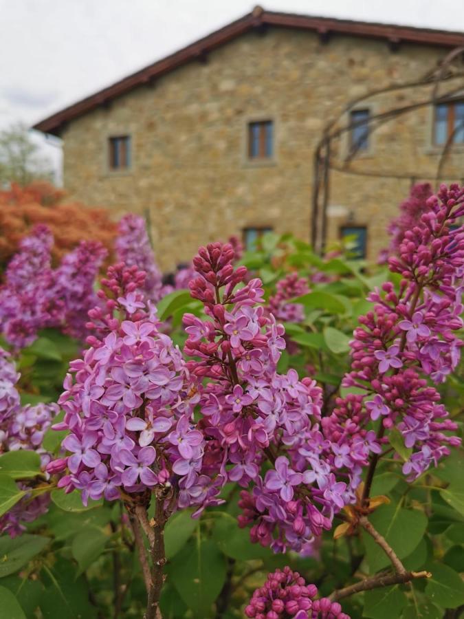 Il Cerro Guest House Pelago Екстериор снимка
