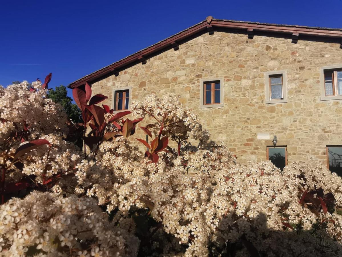 Il Cerro Guest House Pelago Екстериор снимка
